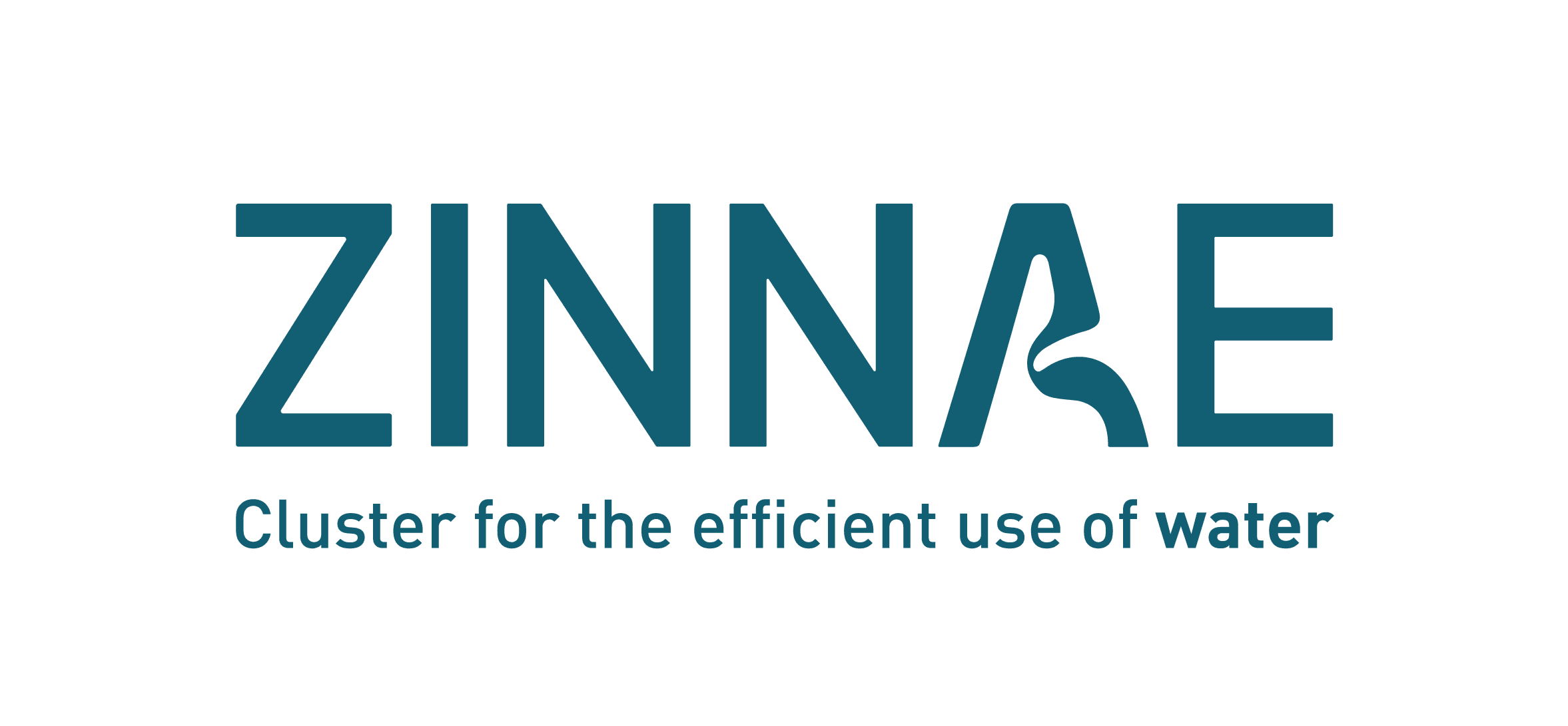 ZINNAE 1